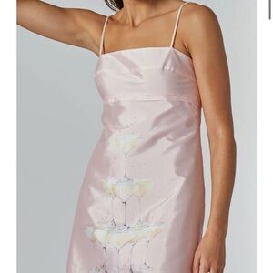 Rachel Antonoff Champagne Pink Mini Dress